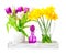 Daffodils, tulips, easter decoration