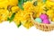 Daffodils, tulips, Easter eggs