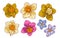 Daffodils and wild flowers, vector set. Bundle of floral design elements. Vector collection of beautiful blooming flower tops