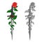 Dagger with rose