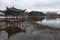 Daguan park scenery with black headed gulls in winter