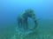 Dahab Elephant Statue Underwater