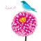 Dahlia flower bird