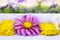 Dahlias and calendula flowers on white tray on garden background