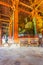 Daibutsu Buddha Statue Side Ceiling Todai-ji V