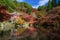 Daigo-ji temple in autumn, Kyoto