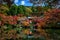Daigo-ji temple with colorful maple trees in autumn, Kyoto