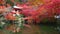 Daigo-ji temple with colorful maple trees in autumn, Kyoto, Japan