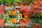 Daigoji temple in autumn, Kyoto. Japan autumn seasons