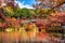 Daigoji temple in autumn, Kyoto. Japan autumn seasons