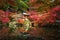 Daigoji temple in maple trees, momiji season, Kyoto, Japan