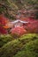 Daigoji temple in maple trees, momiji season, Kyoto, Japan