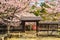 Daikaku ji Temple with cherry blossom at arashiyama, kyoto, kansai, japan