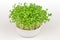 Daikon radish microgreens, Japanese radish sprouts in a white bowl