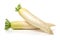 Daikon White Radish