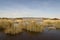 Daimiel tables in Ciudad Real. Lagoons with wooden walkway, blue sky