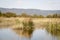 Daimiel tables in Ciudad Real. Lagoons with wooden walkway, blue sky