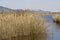 Daimiel tables in Ciudad Real. Lagoons with wooden walkway, blue sky