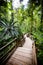 The Daintree Jindalba Boardwalk