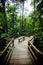 The Daintree Jindalba Boardwalk in Australia