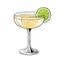 Daiquiri cocktail, hand drawn alcohol drink with lime slice. Vector illustration on white background