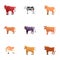 Dairy cattle icon set, cartoon style