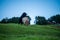 Dairy Cows grazing on green grass in spring, in Australia.