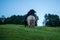 Dairy Cows grazing on green grass in spring, in Australia.