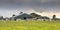 Dairy farm on dutch countryside