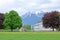 Dairy Farm and Snow Capped Mountain