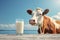 Dairy farming cow and milk against a vibrant blue sky