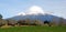 Dairy Farming near Mount Taranaki