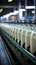 Dairy plants efficient conveyor handles the flow of milk bottles