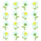 Daisies Design Pattern