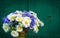 Daisies, forget-me-not and grape hyacinth, spring