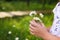 Daisies in hands of a child. Sunny spring background. Close up.