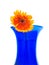 Daisy on blue vase