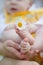 Daisy or camomile flower in baby feet with tiny fingers laying on mother. camomile field
