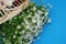 Daisy Camomile Fowers Wooden Garden Table blue Background. flower Bouquet Arrangement composition gift