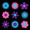 Daisy chamomile. Cute big flower plant collection. Love card. Camomile icon. Purple, violet, pink, blue ultraviolet neon glowing