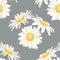 Daisy chamomile field meadow spring summer white yellow flowers seamless pattern on light gray background.