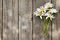 Daisy chamomile flowers bouquet