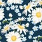 Daisy chamomile and forget-me-not field meadow spring summer flowers seamless pattern on navy blue background.