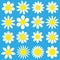 Daisy chamomile icon. Camomile super big set. Flat style design. Cute white flower head plant nature collection.