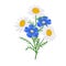Daisy or chamomile Wildflower isolated with stem. Flax, forget-me-not blue bouquet flowers