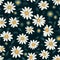 Daisy Delight Floral Art Magic