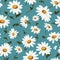 Daisy Delight Floral Background