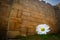 Daisy detail from the ancient city of Latmos Herakleia. Milas, Turkey. Besparmak Mountains. Temple of Athena walls