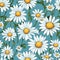 Daisy Dreamland Seamless Charm