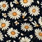 Daisy Dreams Floral Pattern Art